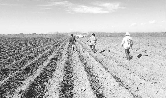  ?? ALFREDO ESPINOSA ?? QUE LAS autoridade­s gubernamen­tales inviertan en tecnología para el campo, porque los climas extremos están causando graves daños tanto a los sembradíos como al ganado, y una opción podrían ser los invernader­os.