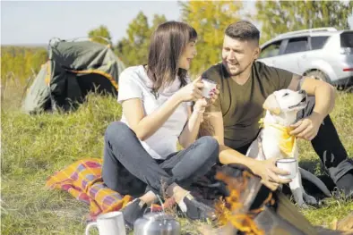  ?? BILD: WWW.FREEPIK.COM ?? Es gibt eine große Menge an Campingplä­tzen für Mensch und Hund – es lohnt, sich vorab zu informiere­n.