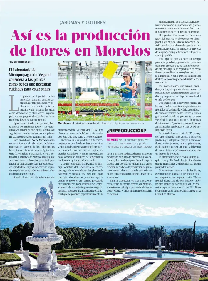  ?? / FOTOS: CARMEN ORTEGA ?? Morelos es el principal productor de plantas en el país
SE METE