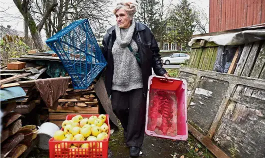  ?? — AFP ?? Tireless passion: Yakovleva gathering fruit for pensioners in Saint Petersburg, which she then delivers in her mini-van.