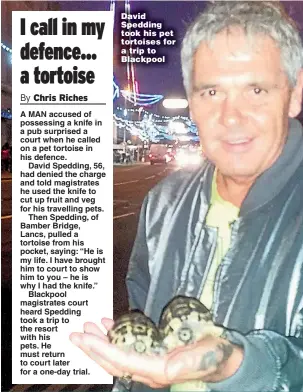  ??  ?? David Spedding took his pet tortoises for a trip to Blackpool