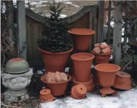  ?? KATHY RENWALD FILE PHOTO ?? Frost-proof pots decorate the winter garden with their rich warmth.