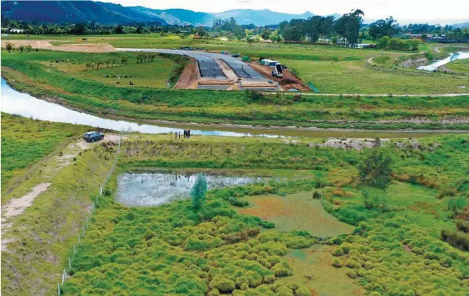  ?? / Nicolás Achury ?? El debate está servido, pues según expertos, junto al río Bogotá, justo por donde pasa la obra, hay un humedal con al menos 80 años de antigüedad.