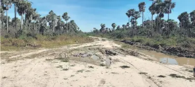  ??  ?? Esta es la carretera que el MOPC debe “abrir” para que la comunidad indígena pueda acceder a sus tierras.