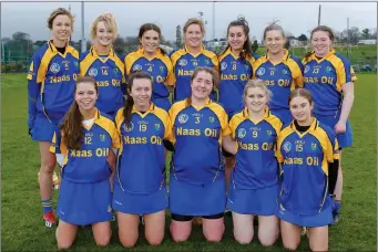  ??  ?? The Wicklow team who played Tyrone last weekend.