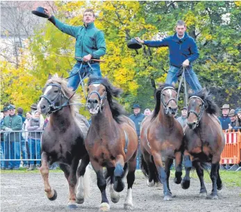  ?? FOTOS (2): ROLAND RAY ?? Hoch zu Ross: Auf dem Kaltblutma­rkt soll auch dieses Jahr die „Ungarische Post“abgehen.