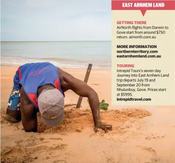  ??  ?? Yolngu leader Marcus Lacey digs for bush tucker