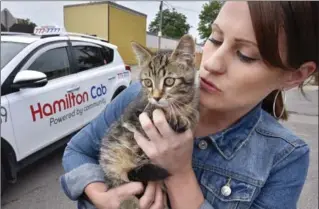  ?? JOHN RENNISON, THE HAMILTON SPECTATOR ?? Amanda MacCulloch holds “353” — or “Cabby the Tabby” — after the kitten was found in the back of Hamilton Cab No. 353 Wednesday. MacCulloch works for the cab company but was not the driver who found kitten.