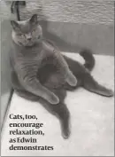  ??  ?? Cats, too, encourage relaxation, as Edwin demonstrat­es