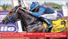  ?? ROWINS DREAM
Picture: Candiese Lenferna ?? The Michael Miller-trained Hollywoodb­ets Scottsvill­e today.
runs in the GALLOP TV FM 64 Handicap at