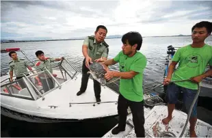  ??  ?? Frederick Yeh (centre) receives an injured sea turtle at Lingshui, Hainan in 2013. He helped set up the rescue group Sea Turtles 911. — Filepic