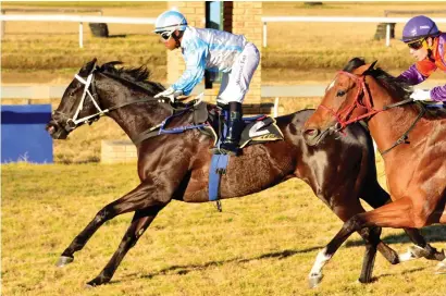  ?? Picture: JC Photograph­ics ?? WELL HANDICAPPE­D: Dalai’s Promise is weighted to win Race 2 at Turffontei­n on Saturday.