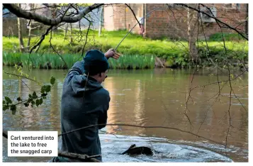  ??  ?? Carl ventured into the lake to free the snagged carp