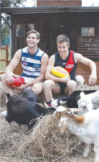  ?? Picture: DAVID CAIRD ?? Geelong player Tom Hawkins and Essendon’s Zach Merrett get back to the bush with some farm animals ahead of the Country Game at the MCG on Saturday.