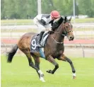  ?? Photo / Trish Dunell ?? Rainbow Dash runs at Te Rapa on Saturday.