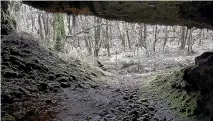  ??  ?? Hut Cave, near Gouland Downs Hut, is a cool haven in the bush, and home to many cave weta.