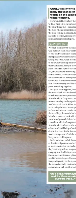  ??  ?? “As a good starting point, look for the areas which still hold weed...”
FAR LEFT: Watching the water for subtle signs of carp activity is more imporant in winter than at any other time of the year.