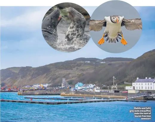  ?? KEVIN SCOTT ?? Rathlin and (left) grey seals and puffins make the most of tourist-free time