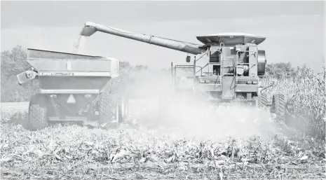  ?? SCOTT OLSON, GETTY IMAGES ?? Possible Mexican measures against the U.S. market may prompt some American farmers to switch from corn to soybeans as they plot their spring plantings over the next couple of weeks, says Chad Hart, an agricultur­al economist at Iowa State University.