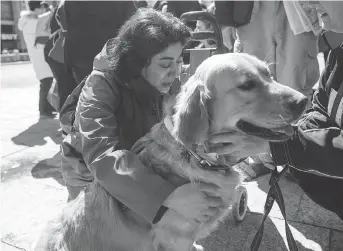  ?? COLE BURSTON/THE CANADIAN PRESS ?? Marian Iravani hugs Buddy, a golden retriever from St. John’s Ambulance, at Mel Lastman Square in Toronto on Thursday, as therapy dogs comforted people mourning Monday’s attack.