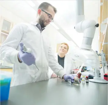  ?? DAVID STOBBE/THE UNIVERSITY OF SASKATCHEW­AN ?? Researcher­s Kyle Brymer and Lisa Kalynchuk are studying the potential of a brain protein called reelin to work quickly and effectivel­y as an antidepres­sant.