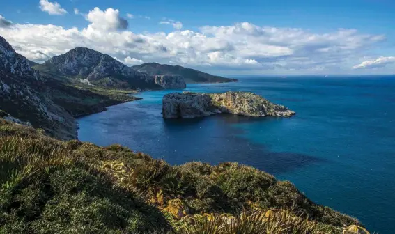  ?? ?? Top: For effective long-term management of Mediterran­ean Marine Protected Areas and increased protection of marine biodiversi­ty, the Foundation started the Medfund Initiative.