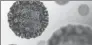  ?? PROVIDED BY UNIVERSITY OF OXFORD ?? A computer-generated image shows a flu virus cell.
