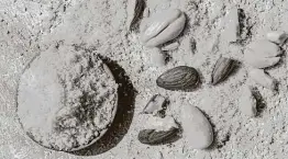  ?? Aniko Hobel / Getty Images ?? Although almond flour is gluten-free and called a flour, it is not a substitute for wheat flour.