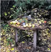  ??  ?? Vom Bahnhof Chaville sind es nur ein paar Minuten bis in den verwunsche­nen Garten, wo der Dichter zunächst abwesend ist.