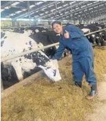  ?? ?? Hands on . . . Papakura High School pupil Amazinggra­ce Liaina (17) pats a cow in a winter barn.