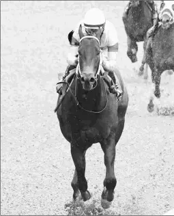  ?? COADY PHOTOGRAPH­Y ?? Gulfport wins his June 10 debut by seven lengths with an 83 Beyer. He’ll be favored Monday in the Bashford Manor Stakes.