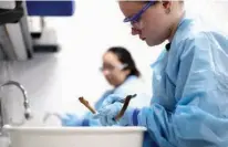  ?? Associated Press ?? In an effort to help with identifica­tion, students at the Forensic Anthropolo­gy Center at Texas State University work April 12 to clean the skeletal remains of an immigrant who died along the U.S-Mexico border.