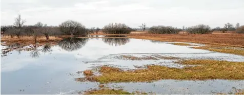  ?? Foto: Dr. Ulrich Mäck ?? Nasse Flächen im Gundelfing­er Moos: Grund dafür sind die großen Niederschl­agsmengen und nicht etwa die Einleitung von Nauwasser.