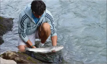  ??  ?? Pafex propose des épuisettes pour tout type de poisson, pour toutes les eaux et dotées de mailles respectueu­ses du poisson.