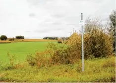  ?? Fotos: Gerlinde Drexler ?? Ein Solarpark ist südlich des Kühbacher Ortsteils Unterbernb­ach entlang der Bahn linie geplant. Jetzt gibt es Einwände vom Naturschut­z.