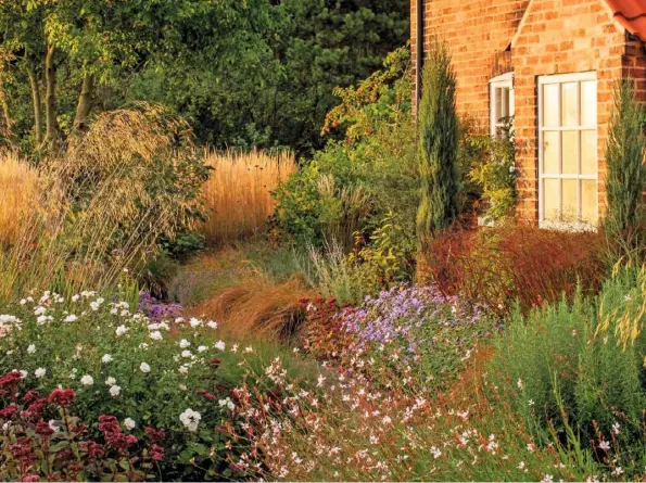  ??  ?? AUTUMN RICHES (clockwise from above) Gaura lindheimer­i ‘Whirling Butterflie­s’ with rosa ‘Kent’, hyloteleph­ium ‘Matrona’, asters and Stipa gigantea; aster ‘Mönch’; grasses tumble over the path; Julie’s gazebo, surrounded by red panicum ‘Squaw’ and asters; hydrangea ‘Annabelle’ INSET Helenium ‘Moerheim Beauty’