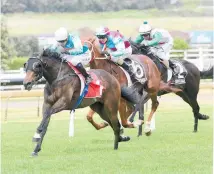  ?? Photo / Trish Dunell ?? Sam Collett and Riodini win the Bonecrushe­r Stakes at Ellerslie in December.