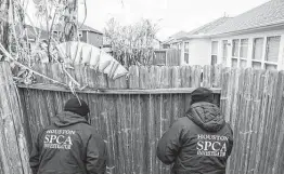  ?? Brett Coomer / Staff file photo ?? D’Questyn Coleman, left, and Jay Chase, investigat­ors with the Houston Society for the Prevention of Cruelty to Animals, check on a dog in February.