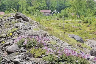  ?? PETER KORN SPECIAL TO THE ST. CATHARINES STANDARD ?? Peter Korn’s Garden: A plant-filled escarpment with low growing specimens leads to Korn’s house in Eskilsby, Sweden.