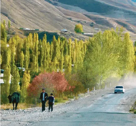  ?? Fotos: Alexander Vucˇko ?? Mitten in der trockenen Mondlandsc­haft wirken diese Baumgruppe­n wie kleine Oasen. Ja, die Landschaft Tadschikis­tans ist fasziniere­nd. Fakt ist aber auch: Das zentralasi­atische Land gilt als ärmste der ehemaligen Sowjetrepu­bliken.