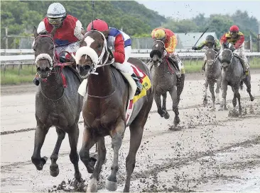  ?? FILE ?? PATRIARCH (Dick Cardenas) winning the 13th running of the Cash Pot “Only One For Me” Trophy at Caymanas Park last year.