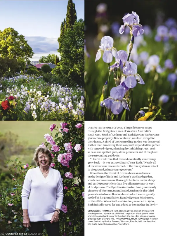  ??  ?? CLOCKWISE, FROM LEFT Ruth standing by an arch of Brilliant Pink Iceberg roses; “My little bit of Monet,” says Ruth of the yellow roses and iris looking back towards the shed; the bearded iris plants were gifted to Ruth after the fire. FACING PAGE, FROM...