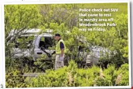  ??  ?? Police check out SUV that came to rest in marshy area off Meadowbroo­k Parkway on Friday.