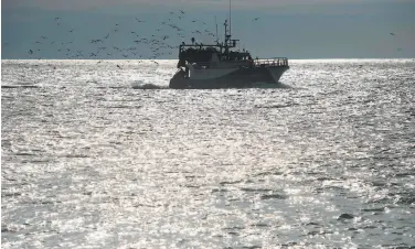  ?? Loic Venance / AFP via Getty Images ?? A fishing boat is surrounded by seagulls while arriving at Les Sablesd’Olonne harbor in western France.