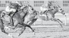  ?? Tom Reel / San Antonio Express-News ?? Horses might not be kicking up the dirt this year at Retama Park, which has not yet conducted its 2017 thoroughbr­ed and quarter-horse seasons. A TRC shortfall leaves state racing in doubt unless the Texas Legislatur­e provides more funding.