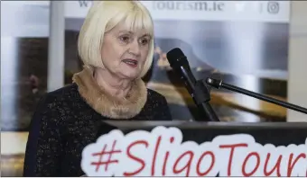  ??  ?? MEP Marian Harkin speaking at the launch last Friday of the new Sligotouri­sm.ie website.