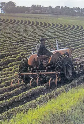  ?? ?? Algumas associaçõe­s de agricultor­es vão avançar para protestos.