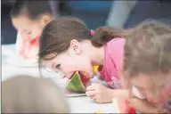  ?? Bryan Haeffele / Hearst Connecticu­t Media ?? Watermelon eating contest at the Cannon Grange Fair in Wilton in 2017. The contest would not have been held this year in light of social distancing measures. The fair is being held virtually this year.