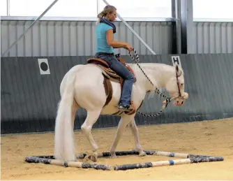 ??  ?? Forward impulsion is critical to keep your horse from stalling out in this drill.
