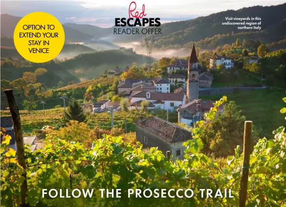  ?? ?? Visit vineyards in this undiscover­ed region of northern Italy